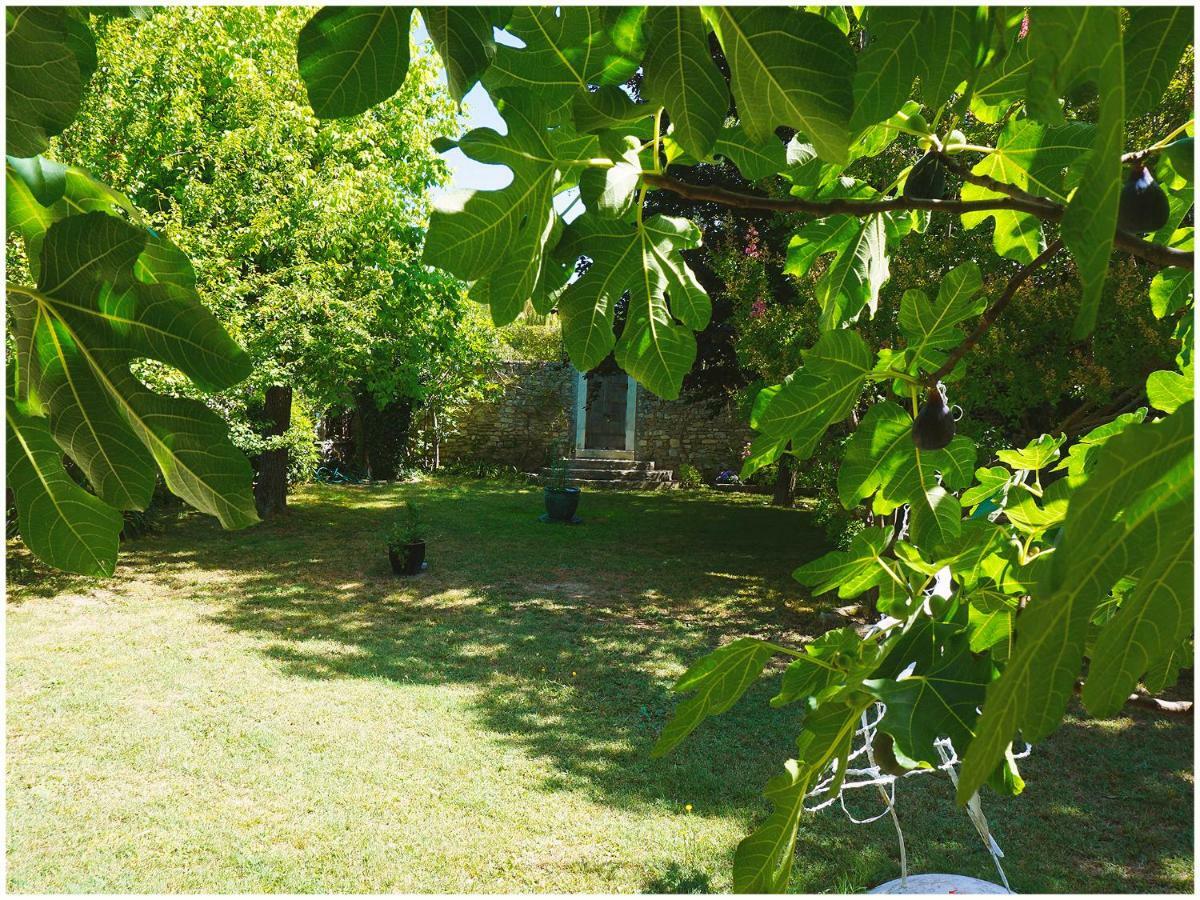 Chambre D'Hote La Romaine Vaison-la-Romaine Zewnętrze zdjęcie